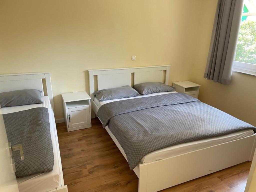 R41 - Tivoli Groundfloor Apartment Ljubljana Kültér fotó