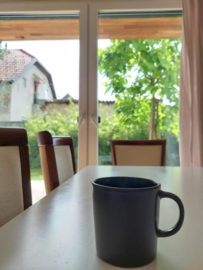 R41 - Tivoli Groundfloor Apartment Ljubljana Kültér fotó
